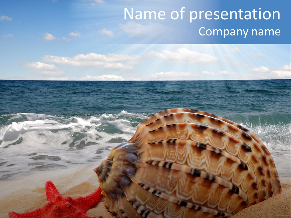 Sunny Seashell Horizon PowerPoint Template