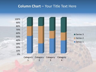 Sunny Seashell Horizon PowerPoint Template