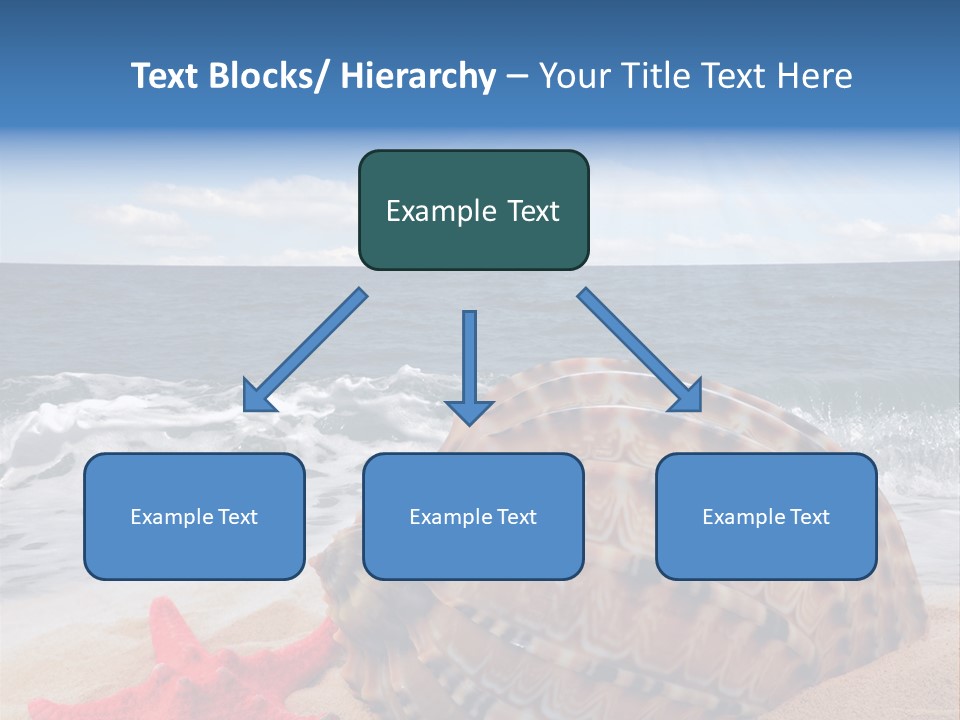 Sunny Seashell Horizon PowerPoint Template