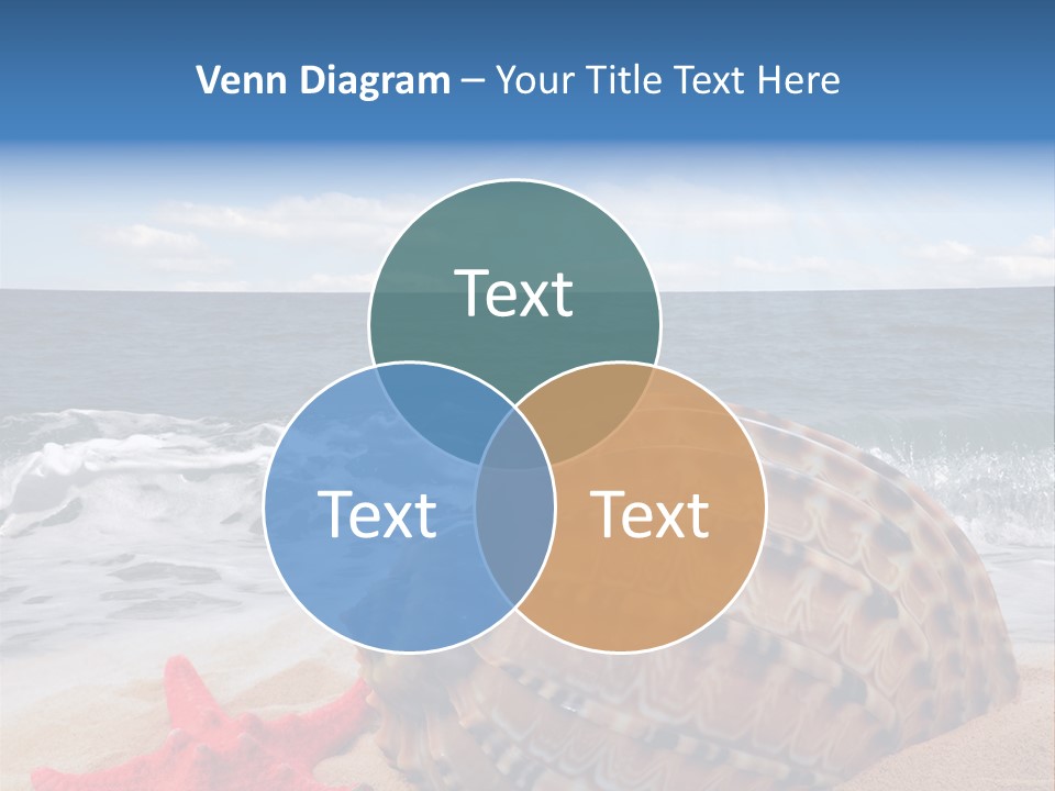 Sunny Seashell Horizon PowerPoint Template