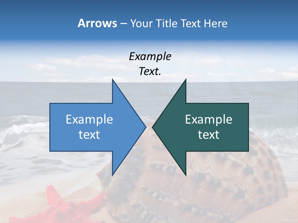 Sunny Seashell Horizon PowerPoint Template