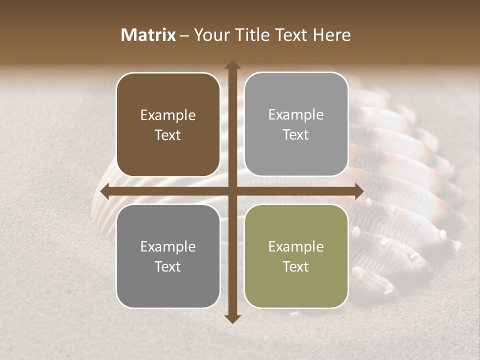 Coast Ornament Object PowerPoint Template