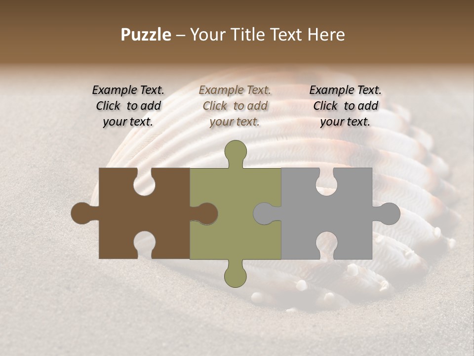 Coast Ornament Object PowerPoint Template