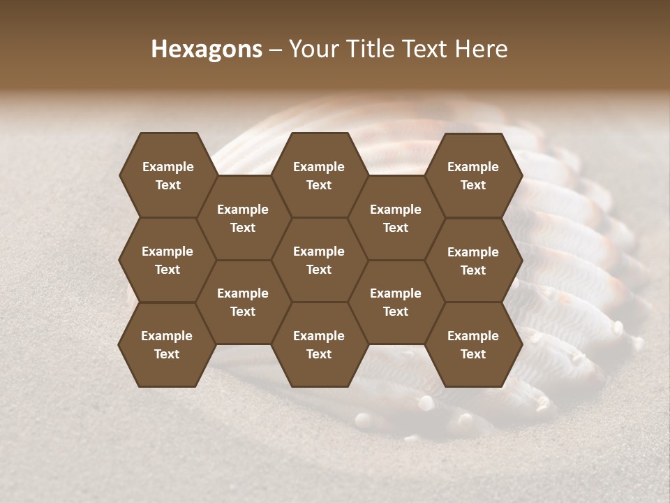 Coast Ornament Object PowerPoint Template