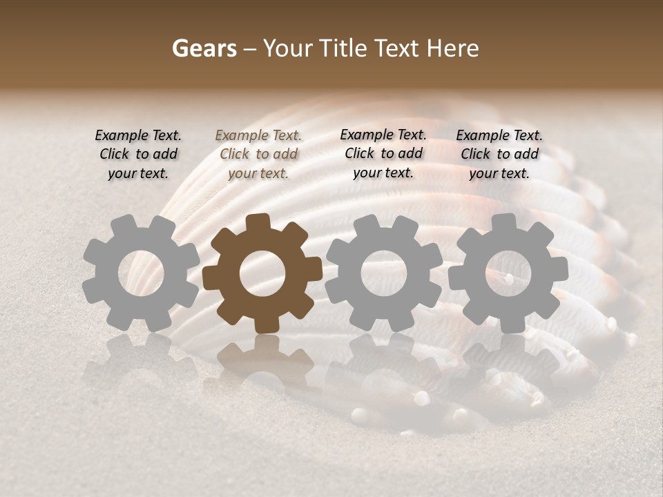 Coast Ornament Object PowerPoint Template