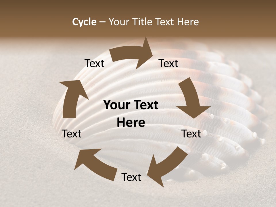 Coast Ornament Object PowerPoint Template