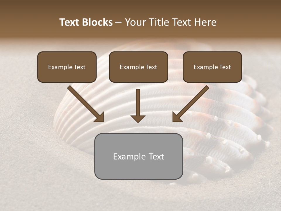 Coast Ornament Object PowerPoint Template
