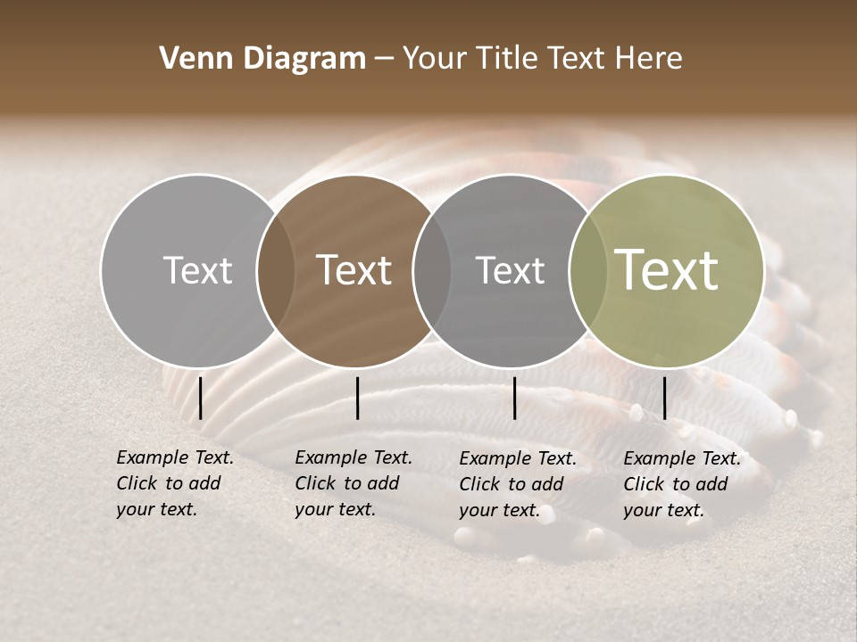Coast Ornament Object PowerPoint Template
