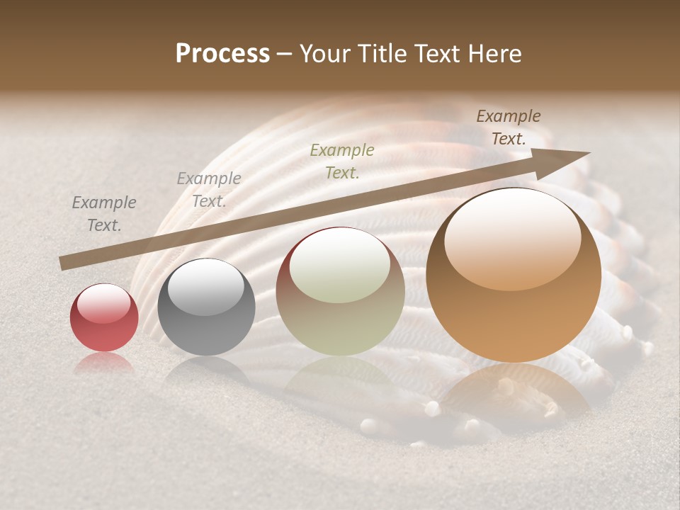 Coast Ornament Object PowerPoint Template