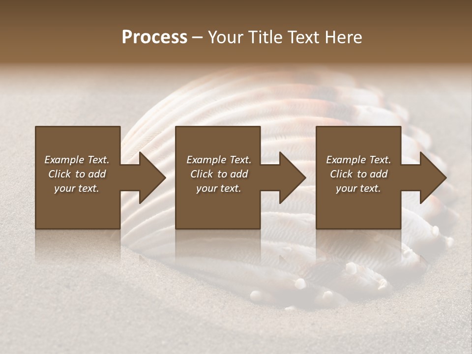 Coast Ornament Object PowerPoint Template