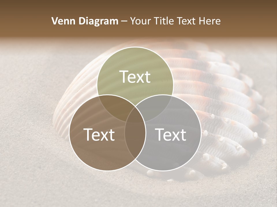 Coast Ornament Object PowerPoint Template