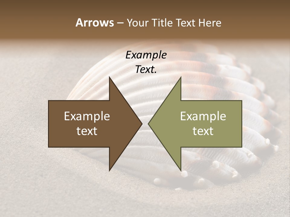 Coast Ornament Object PowerPoint Template
