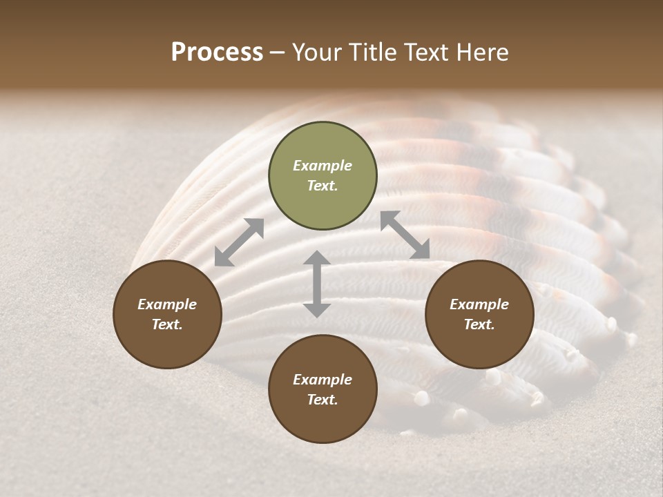 Coast Ornament Object PowerPoint Template