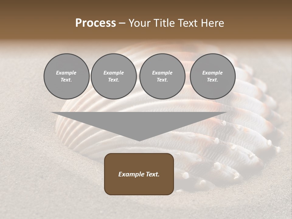 Coast Ornament Object PowerPoint Template