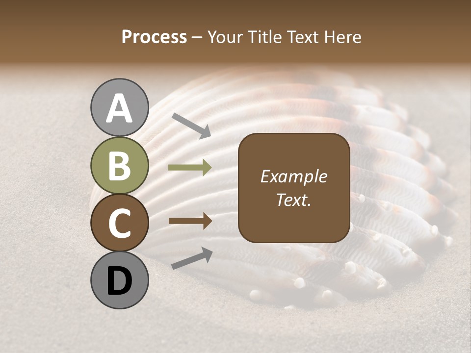Coast Ornament Object PowerPoint Template