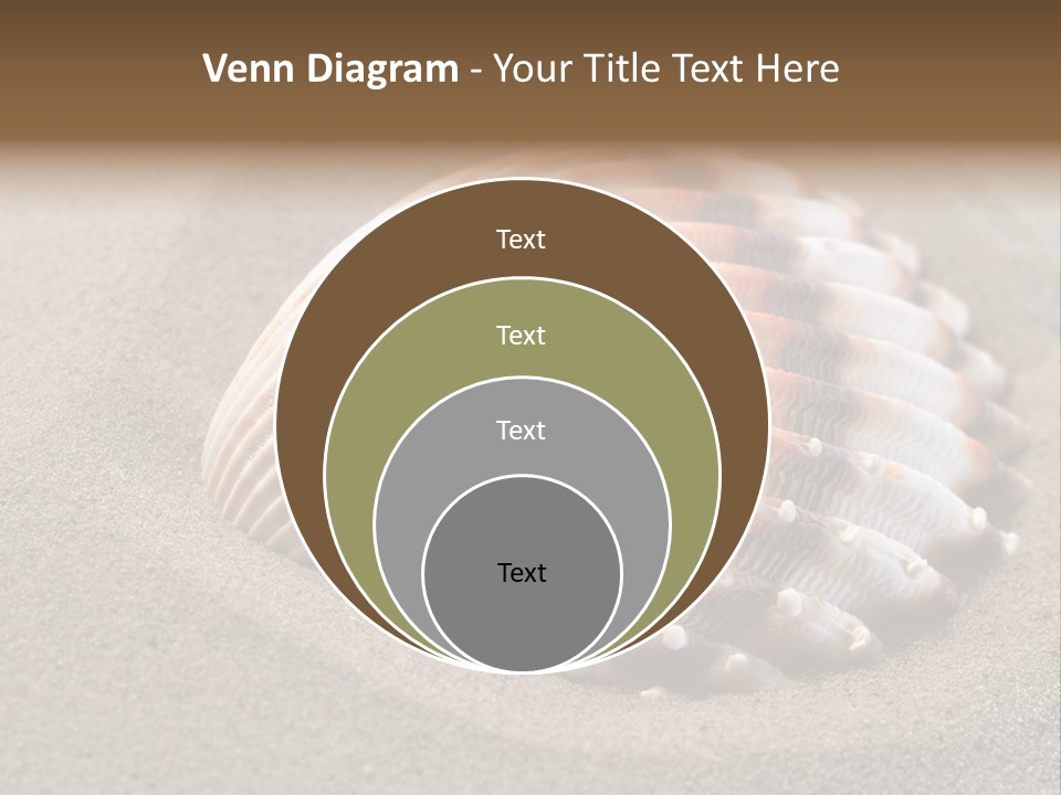 Coast Ornament Object PowerPoint Template