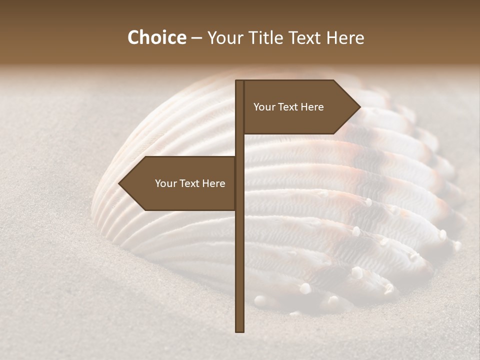 Coast Ornament Object PowerPoint Template