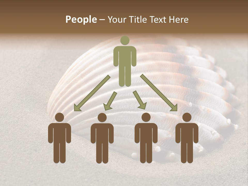 Coast Ornament Object PowerPoint Template