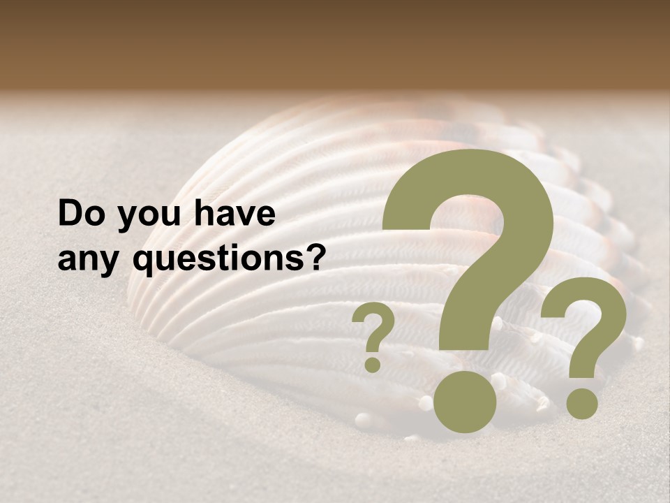 Coast Ornament Object PowerPoint Template