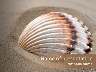 Wildlife Mussel Ocean PowerPoint Template