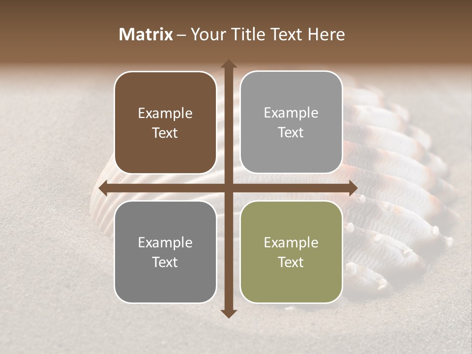 Wildlife Mussel Ocean PowerPoint Template