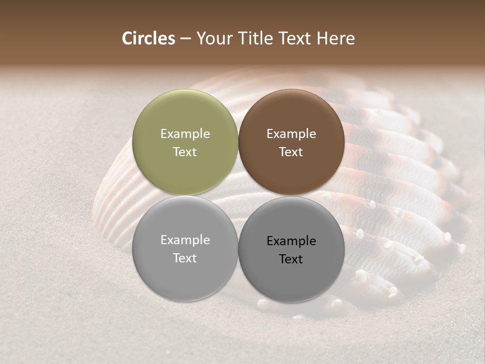 Wildlife Mussel Ocean PowerPoint Template