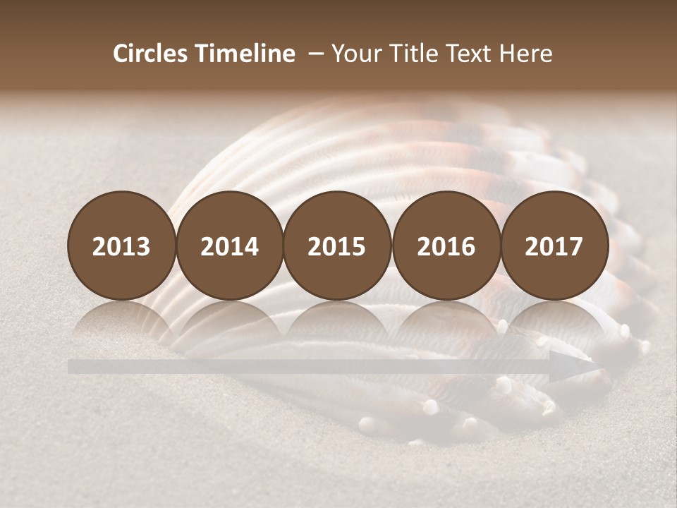 Wildlife Mussel Ocean PowerPoint Template