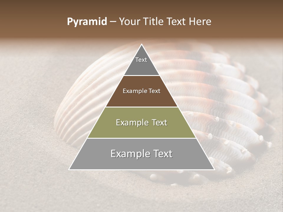 Wildlife Mussel Ocean PowerPoint Template