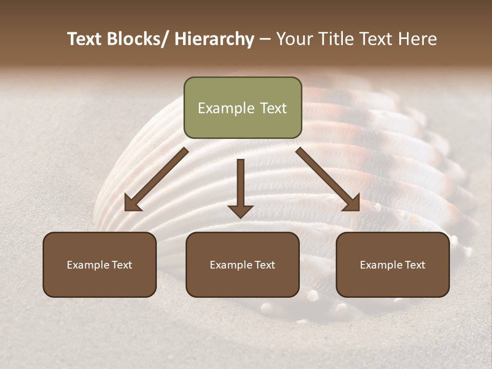 Wildlife Mussel Ocean PowerPoint Template