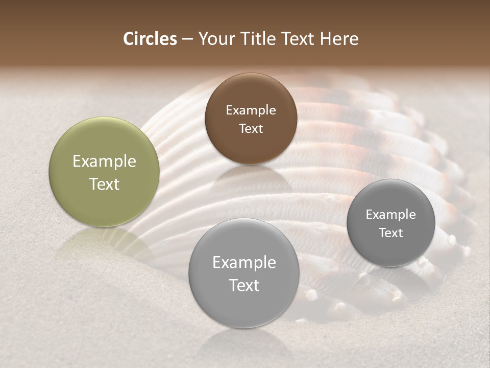 Wildlife Mussel Ocean PowerPoint Template