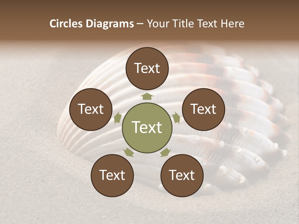 Wildlife Mussel Ocean PowerPoint Template