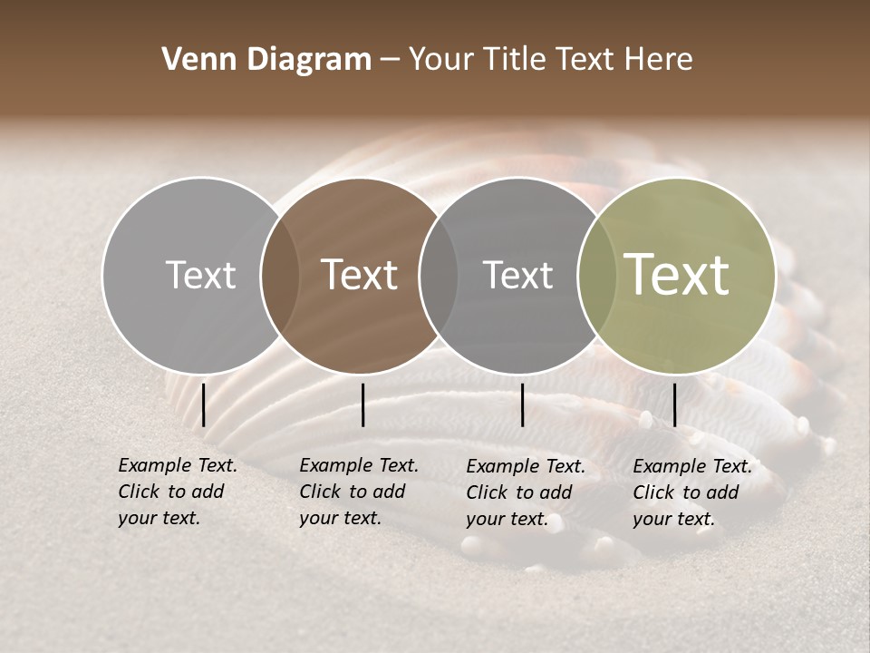 Wildlife Mussel Ocean PowerPoint Template