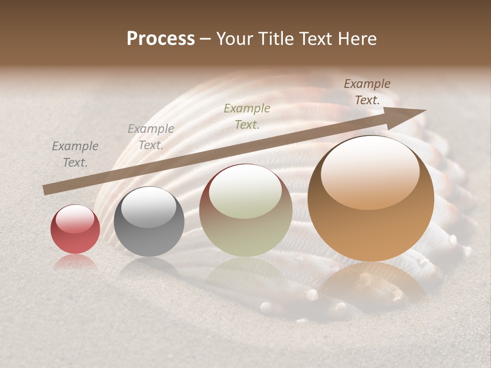 Wildlife Mussel Ocean PowerPoint Template