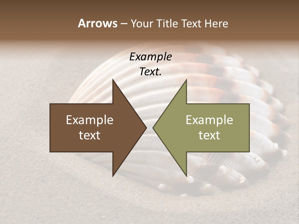 Wildlife Mussel Ocean PowerPoint Template