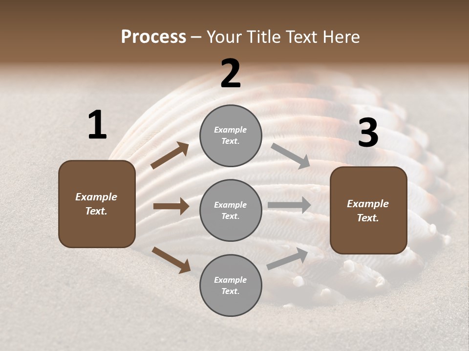 Wildlife Mussel Ocean PowerPoint Template