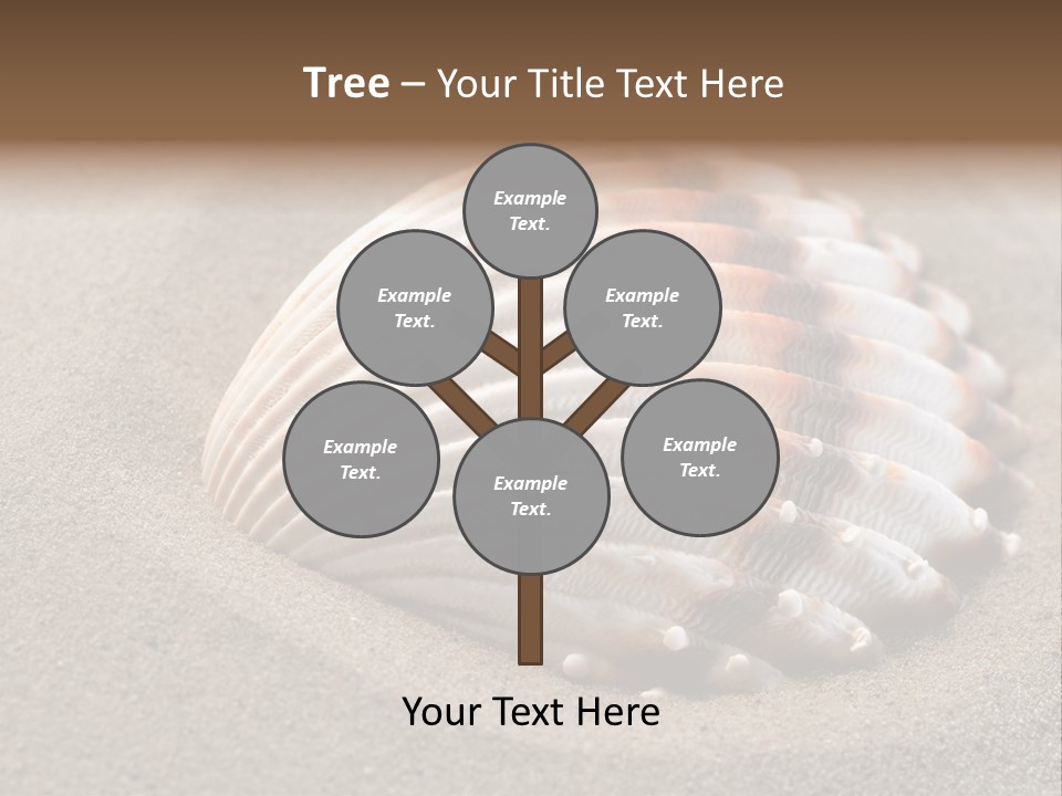 Wildlife Mussel Ocean PowerPoint Template