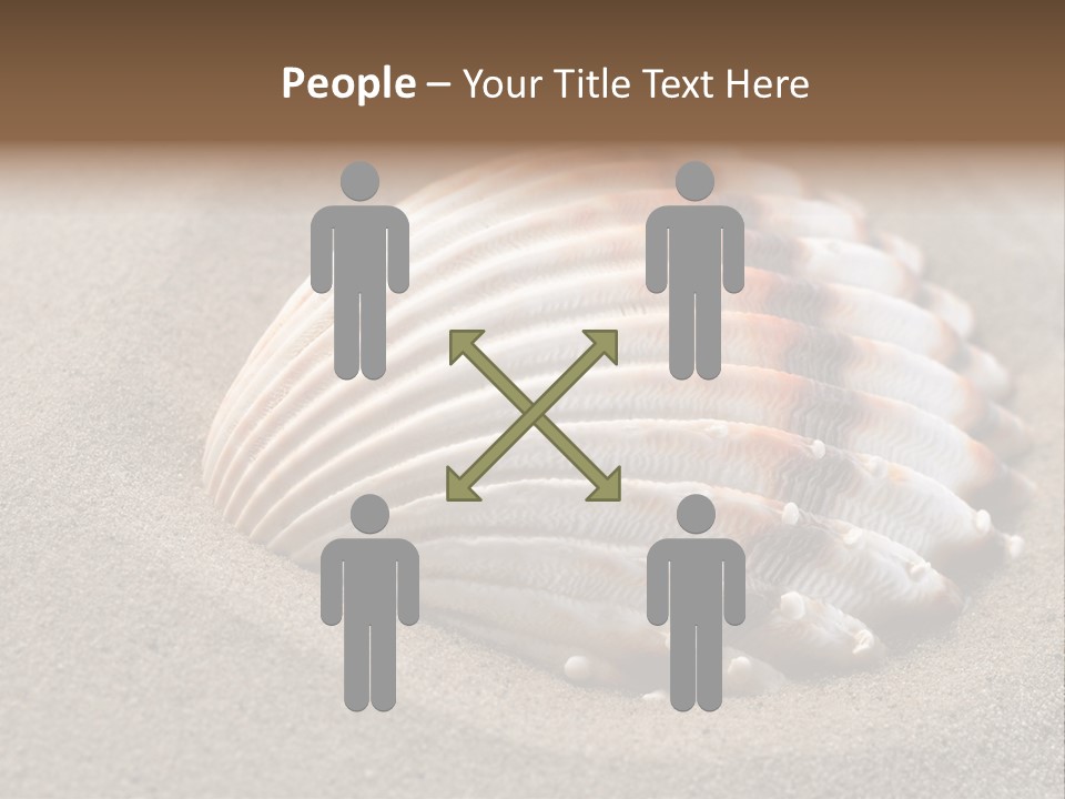 Wildlife Mussel Ocean PowerPoint Template