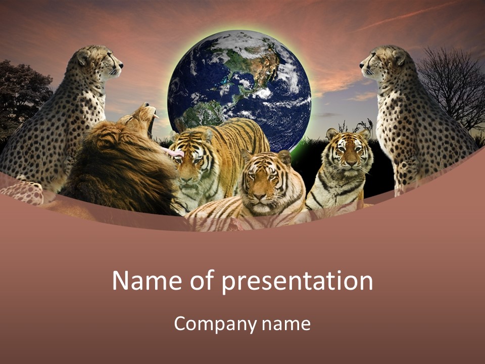 Wildcat Creative Reservation PowerPoint Template