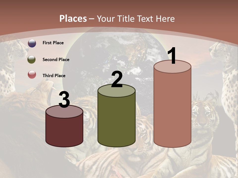 Wildcat Creative Reservation PowerPoint Template