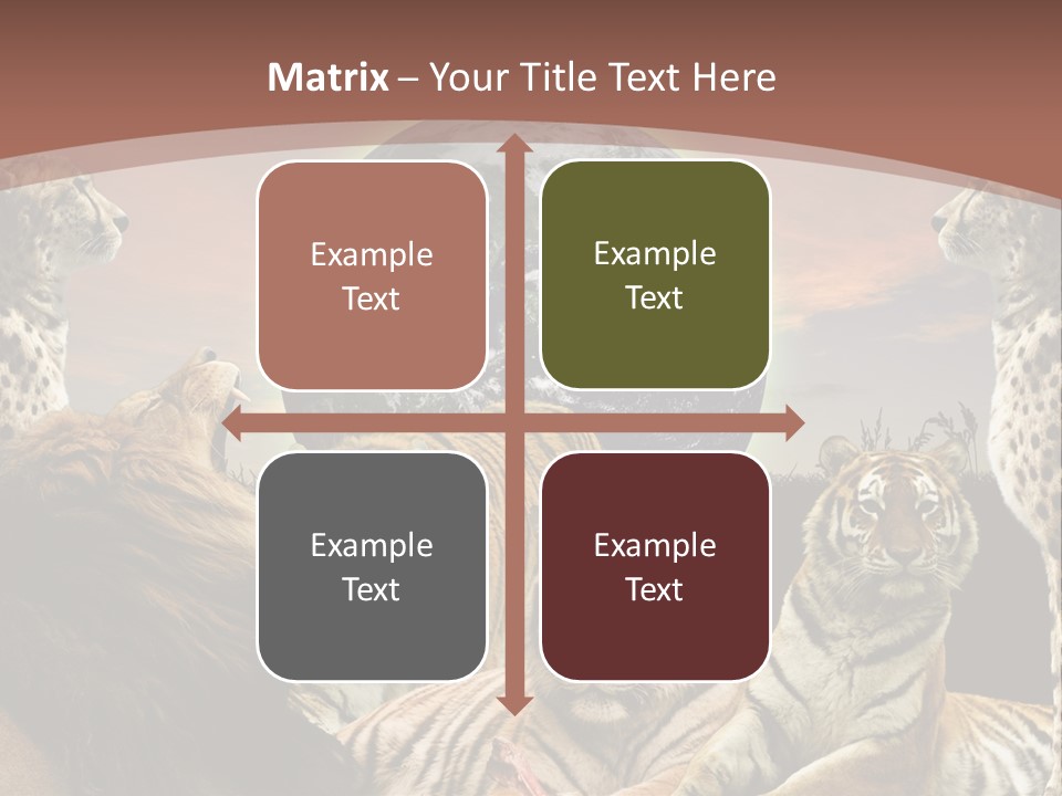 Wildcat Creative Reservation PowerPoint Template