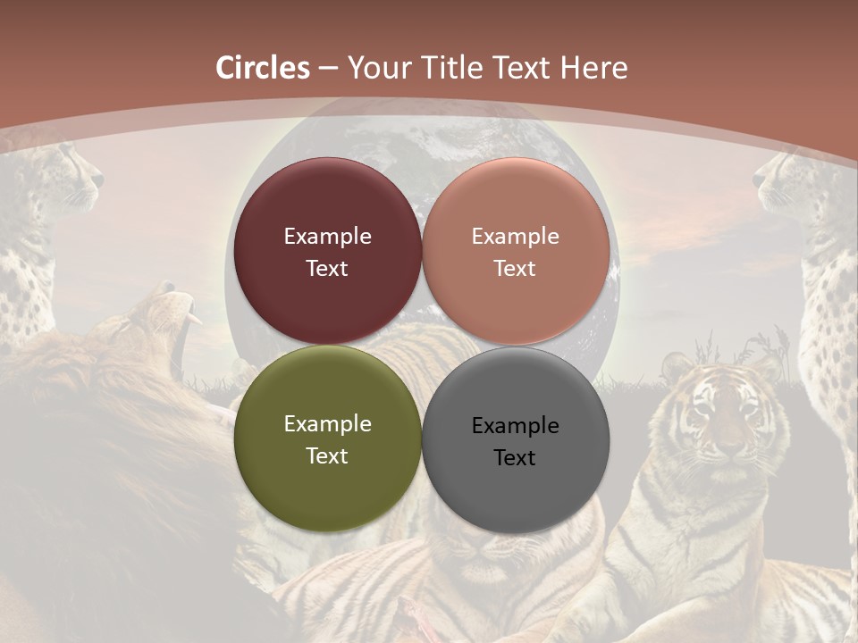 Wildcat Creative Reservation PowerPoint Template