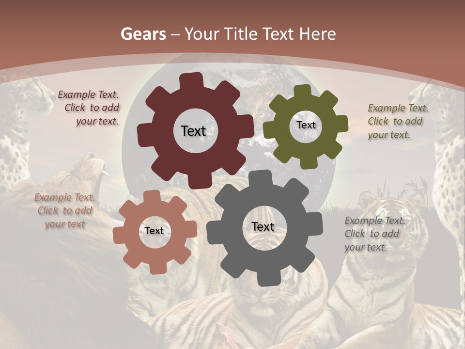 Wildcat Creative Reservation PowerPoint Template