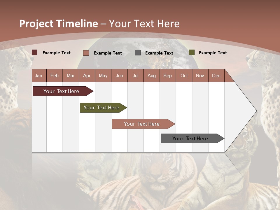 Wildcat Creative Reservation PowerPoint Template