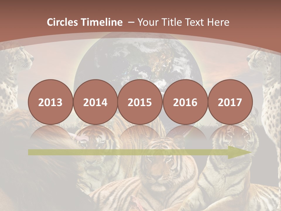 Wildcat Creative Reservation PowerPoint Template