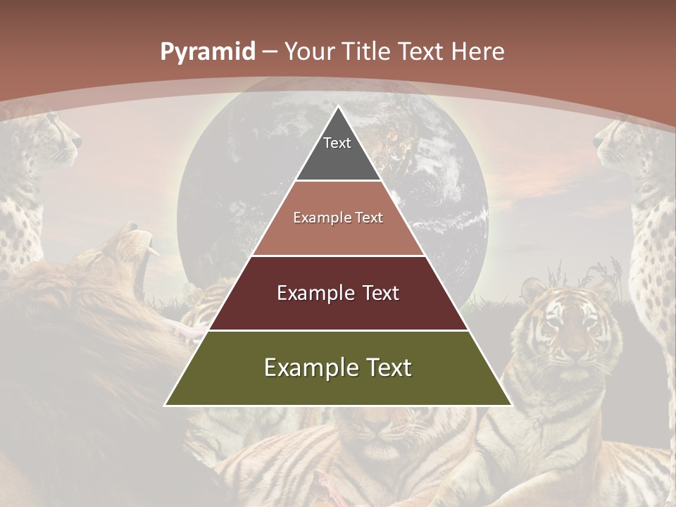 Wildcat Creative Reservation PowerPoint Template