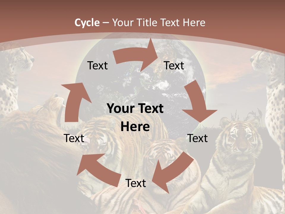 Wildcat Creative Reservation PowerPoint Template