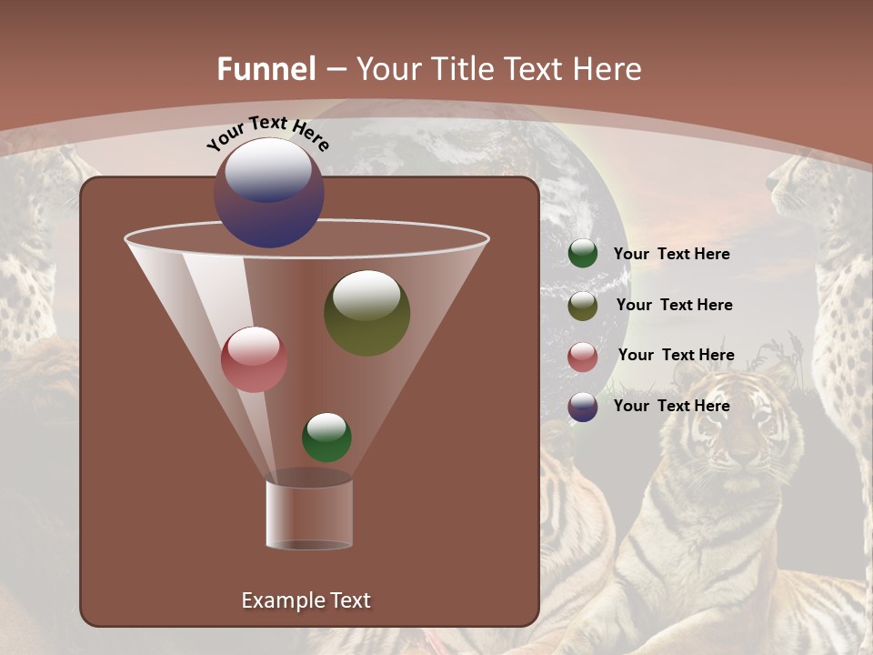 Wildcat Creative Reservation PowerPoint Template