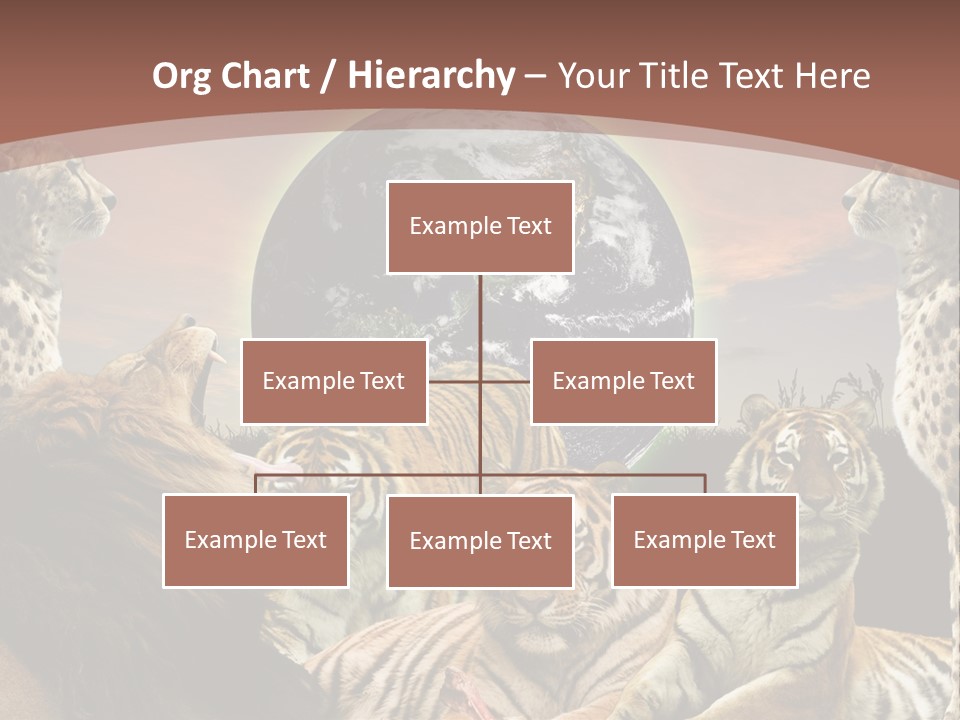 Wildcat Creative Reservation PowerPoint Template