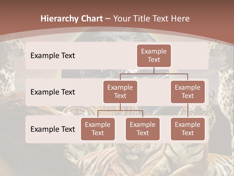 Wildcat Creative Reservation PowerPoint Template