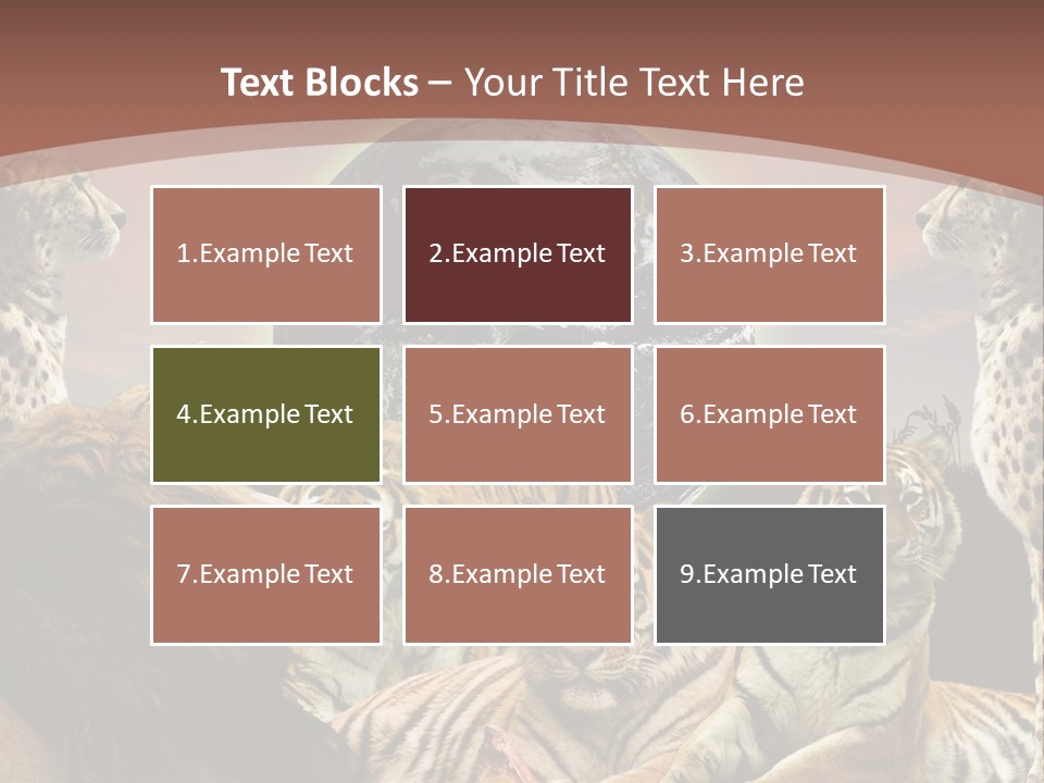 Wildcat Creative Reservation PowerPoint Template